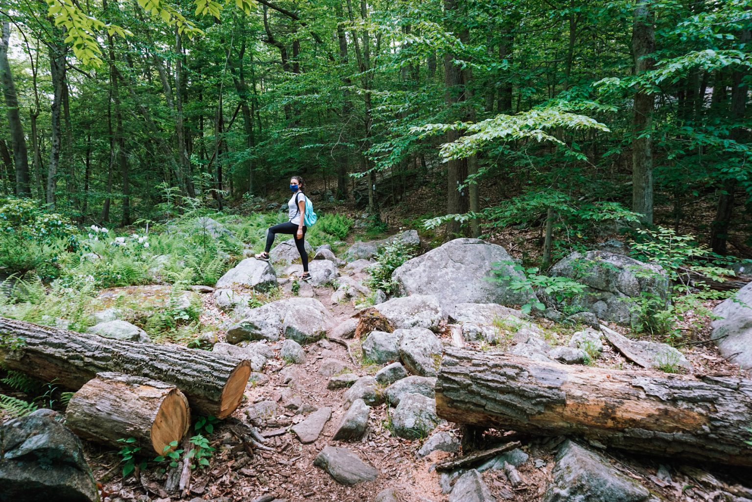 Hiking at Harriman State Park - HarrimanStatePark Loren Hiking 1536x1025