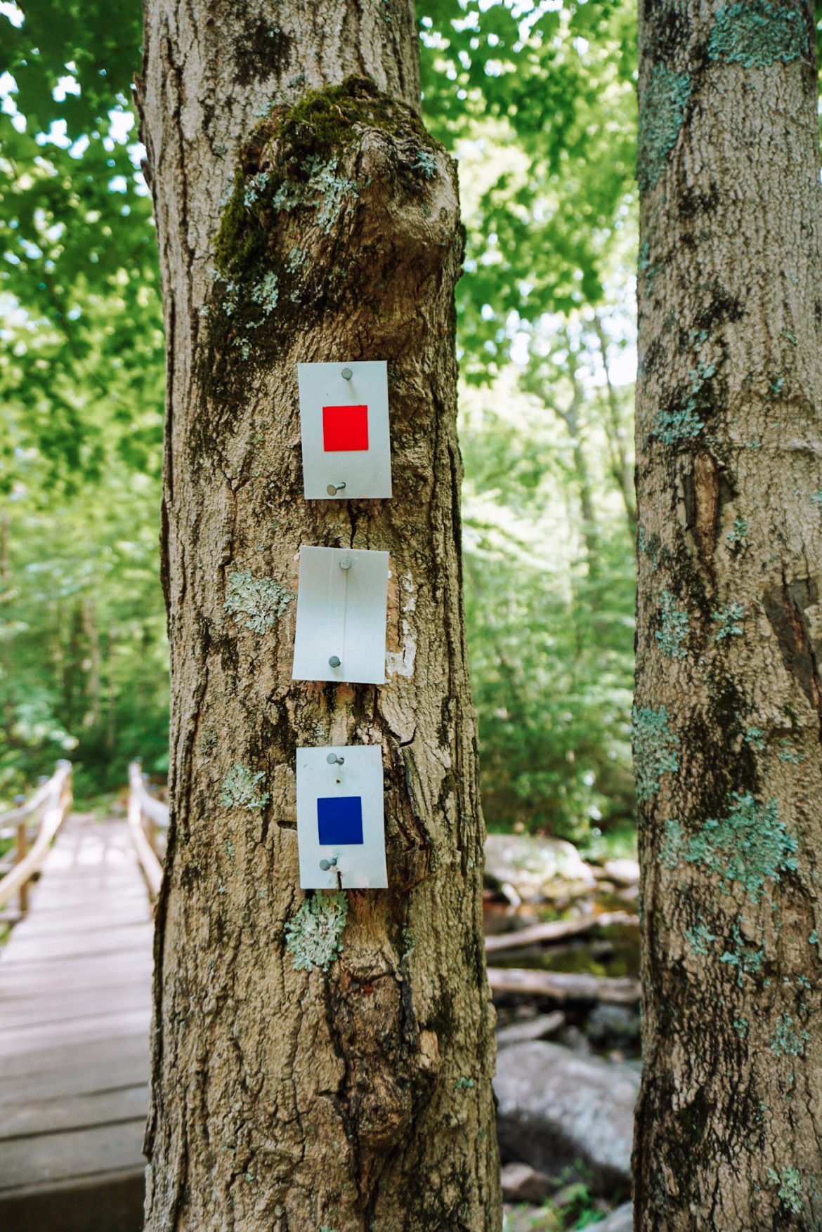 Hiking at Harriman State Park - HarrimanStatePark Loren Hiking11 585x877@2x