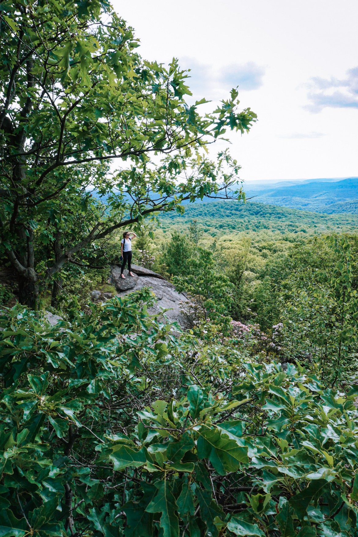 Hiking at Harriman State Park - HarrimanStatePark Loren Hiking15 585x877@2x